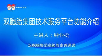 双胞胎集团技术服务平台功能介绍